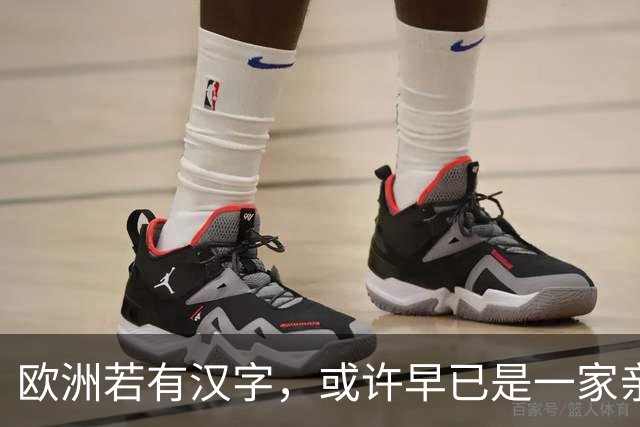 欧洲若有汉字，或许早已是一家亲