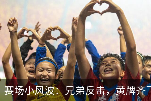 赛场小风波：兄弟反击，黄牌齐飞！